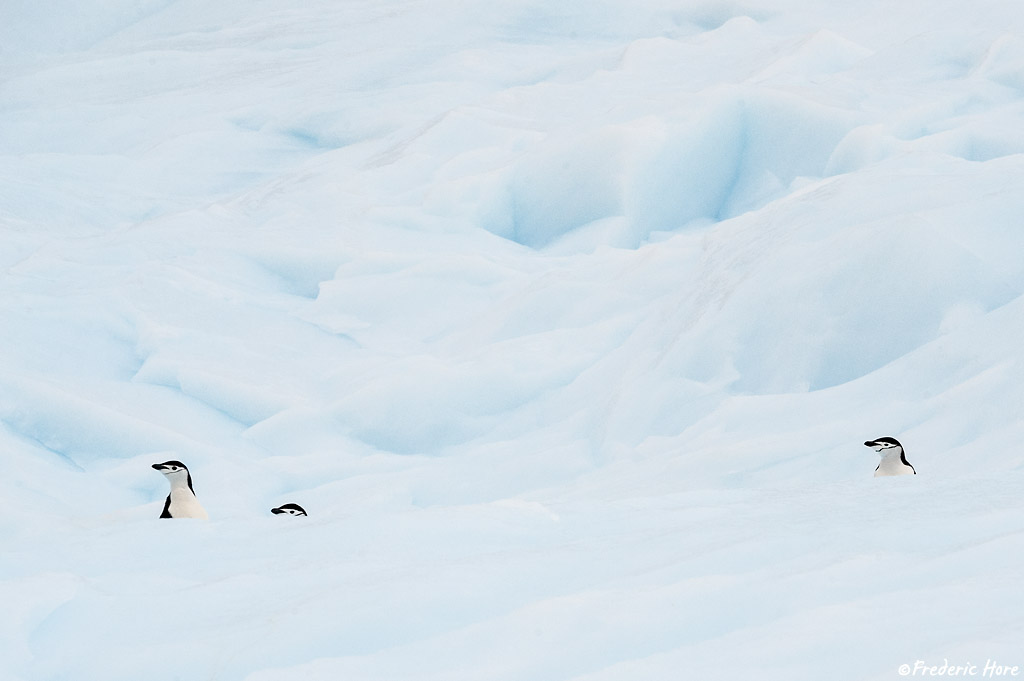 Graham Land, Antarctic Peninsula